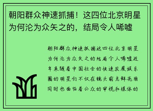 朝阳群众神速抓捕！这四位北京明星为何沦为众矢之的，结局令人唏嘘