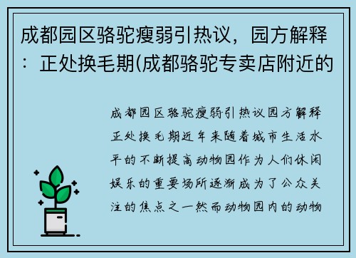 成都园区骆驼瘦弱引热议，园方解释：正处换毛期(成都骆驼专卖店附近的门店)