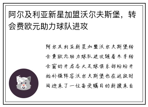 阿尔及利亚新星加盟沃尔夫斯堡，转会费欧元助力球队进攻