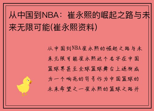 从中国到NBA：崔永熙的崛起之路与未来无限可能(崔永熙资料)