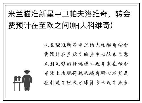 米兰瞄准新星中卫帕夫洛维奇，转会费预计在至欧之间(帕夫科维奇)
