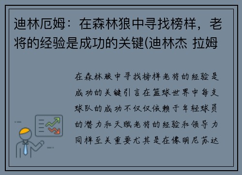 迪林厄姆：在森林狼中寻找榜样，老将的经验是成功的关键(迪林杰 拉姆)